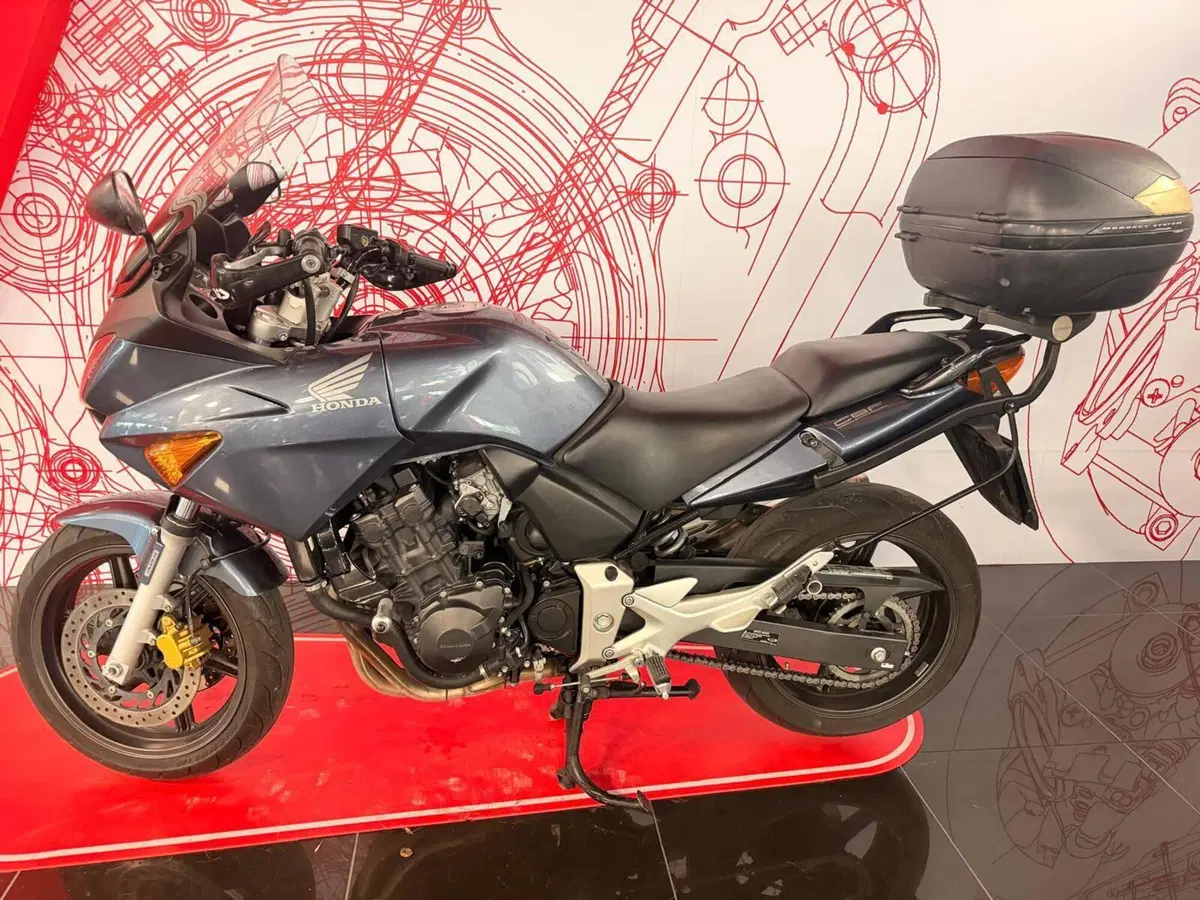 Honda CBF 600 ABS (2004 - 06) (6)