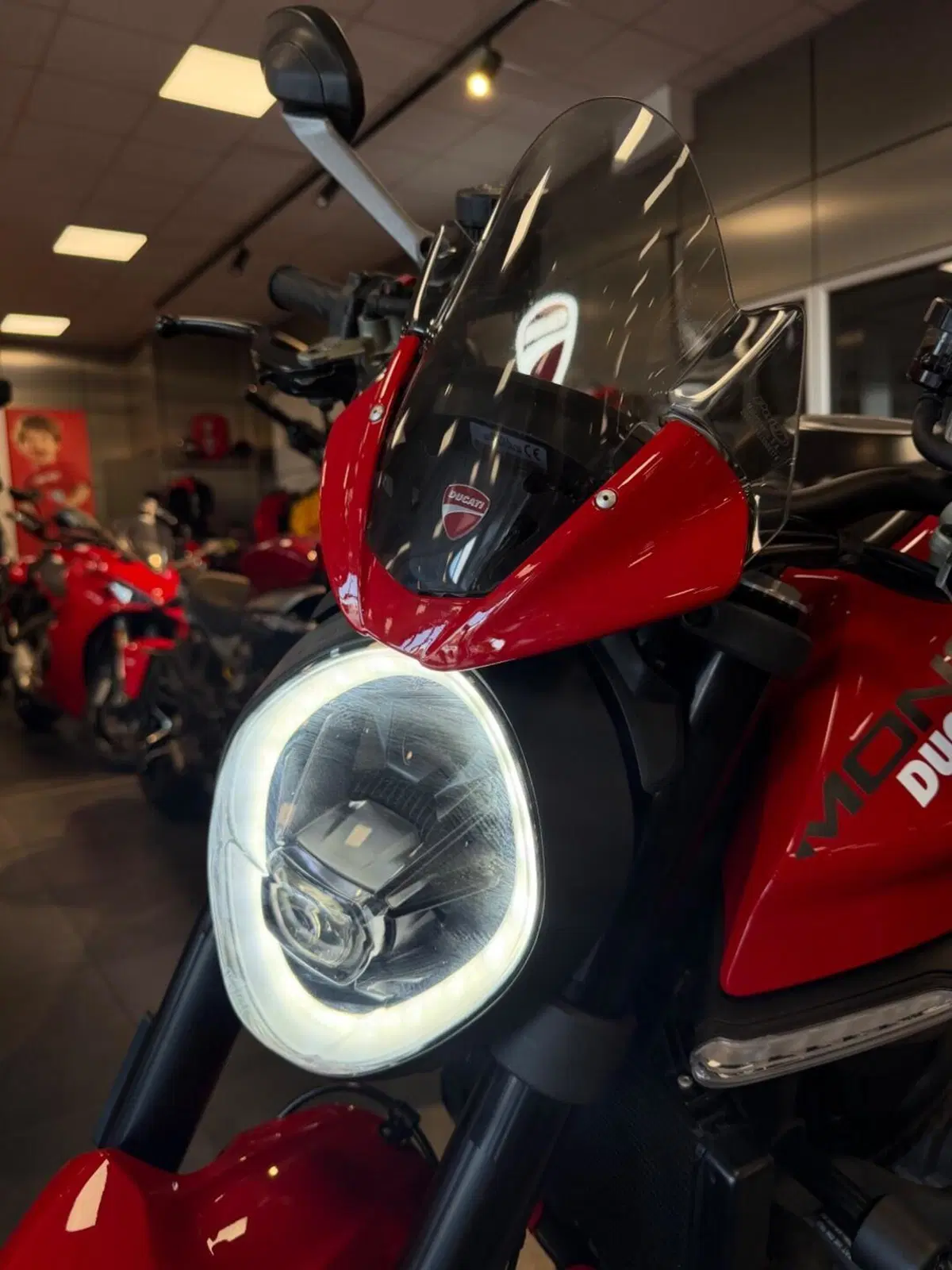 Ducati Monster 937 + (2021 - 25) (17)