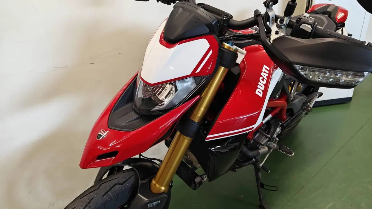 Ducati Hypermotard 950 SP (2019 - 20) (4)