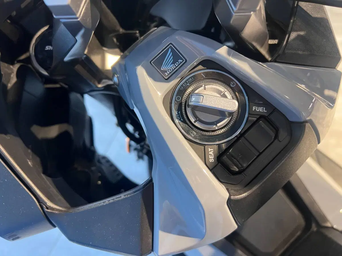 Honda ADV 350 (2022 - 24) (10)