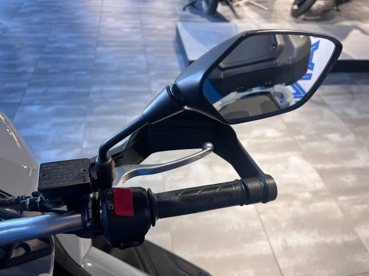 Honda ADV 350 (2022 - 24) (13)