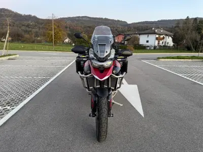 Triumph Tiger 900 GT Pro (2024 - 26) usata