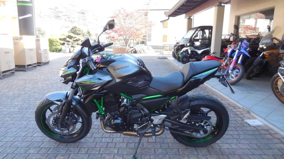 Kawasaki Z 650 (2021 - 24) (3)