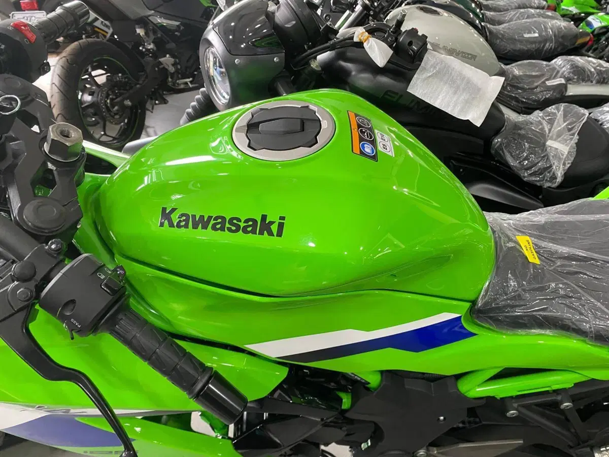 Kawasaki Ninja 125 (2025 - 26) (4)