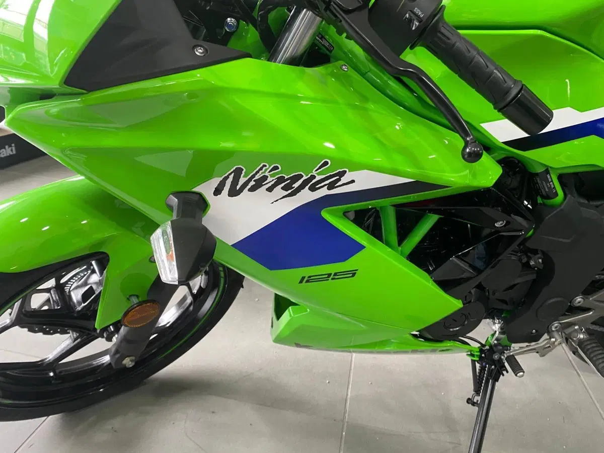 Kawasaki Ninja 125 (2025 - 26) (5)