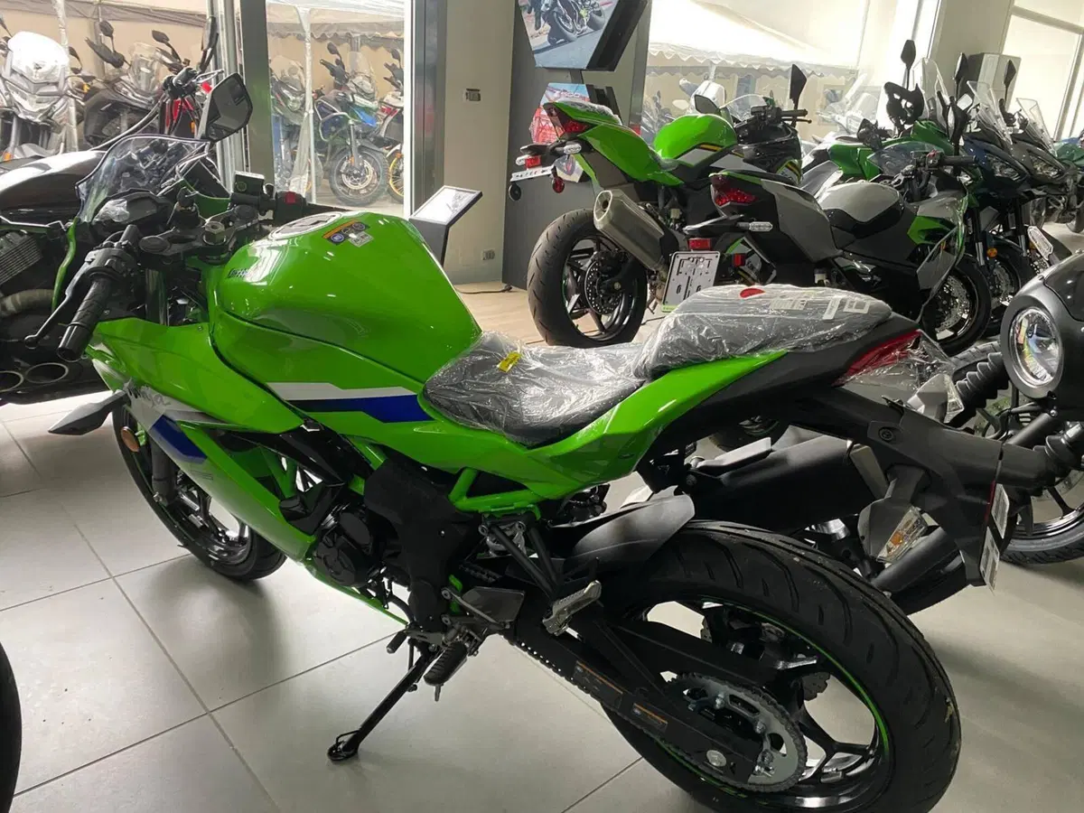 Kawasaki Ninja 125 (2025 - 26) (6)