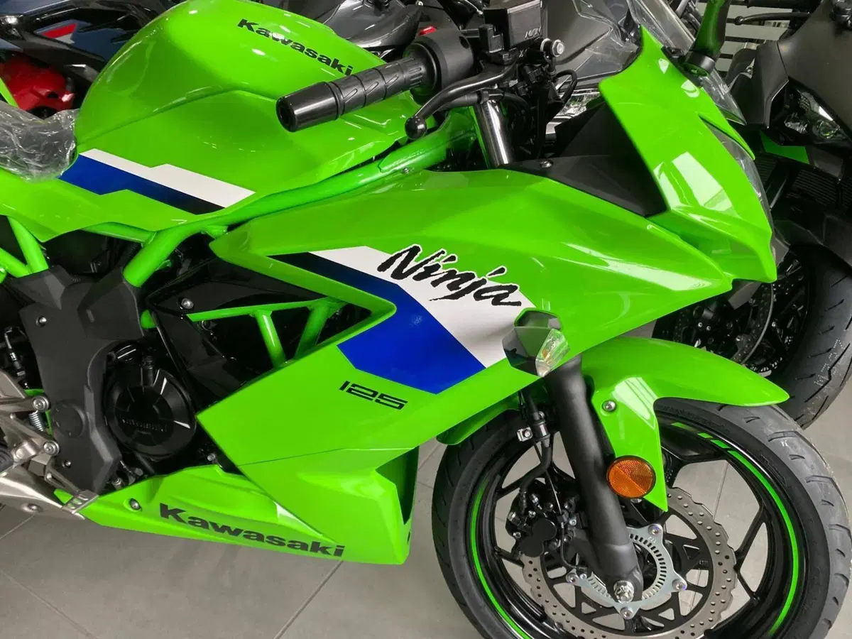 Kawasaki Ninja 125 (2025 - 26) (9)