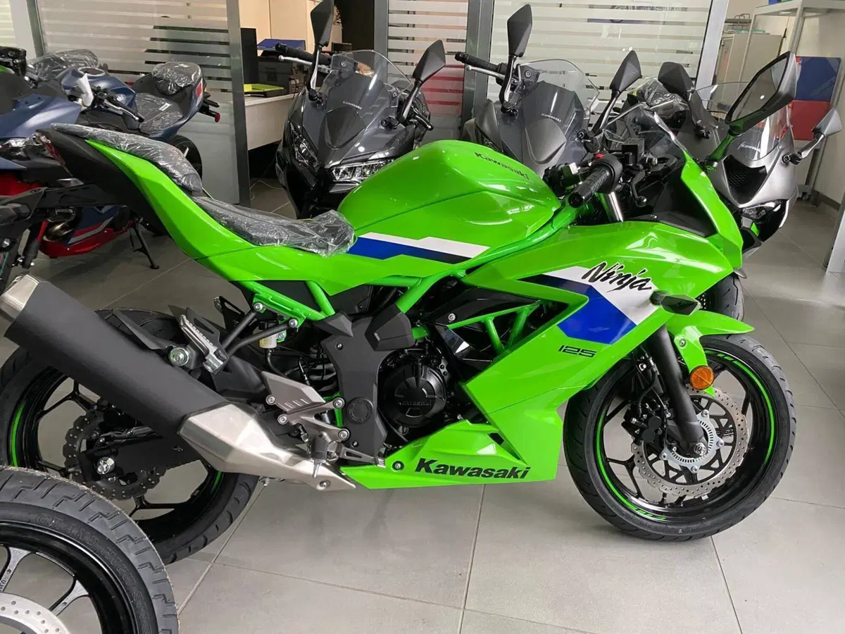 Kawasaki Ninja 125 (2025 - 26)