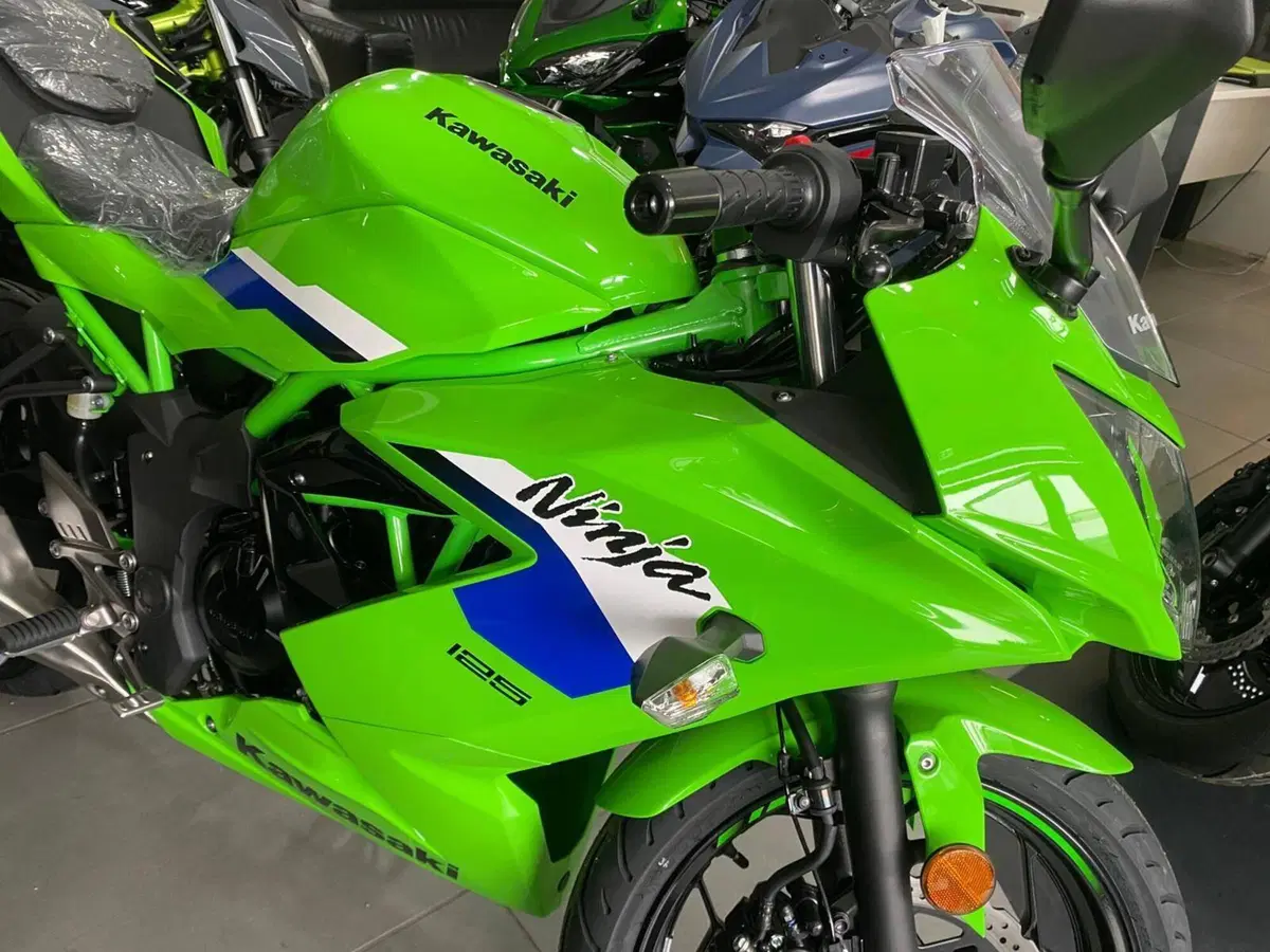 Kawasaki Ninja 125 (2025 - 26) (10)