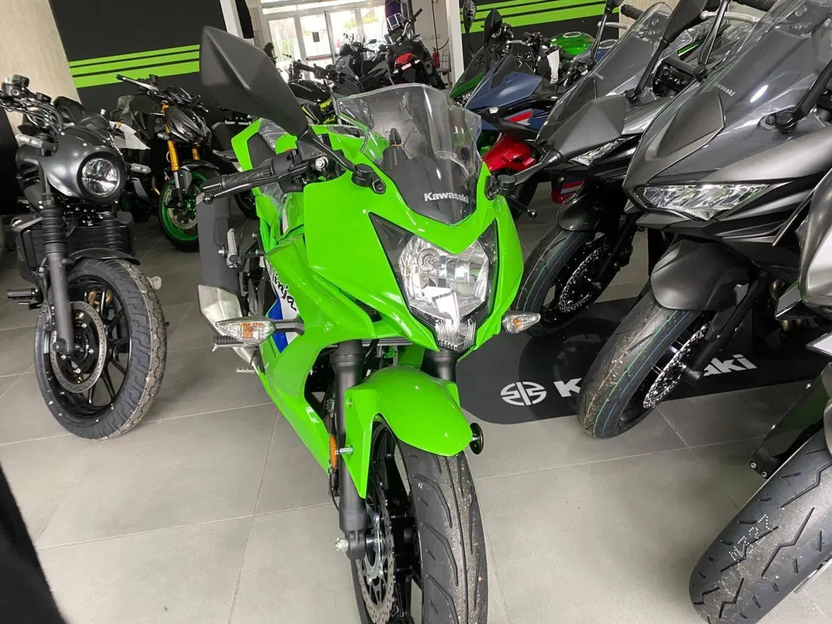 Kawasaki Ninja 125 (2025 - 26) (2)