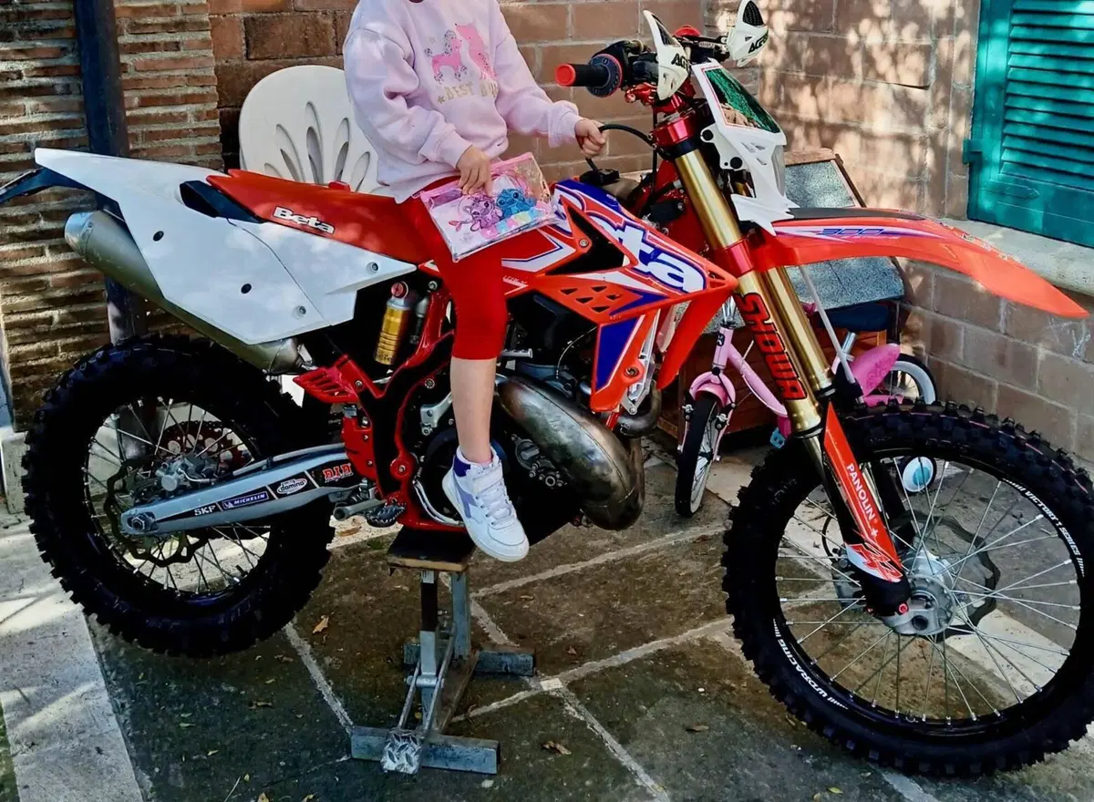Betamotor RR 300 2T Enduro (2013)