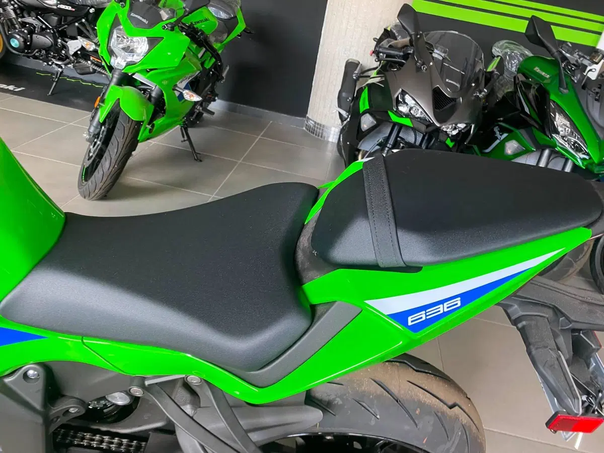 Kawasaki Ninja 636 ZX-6R (2024 - 26) (3)