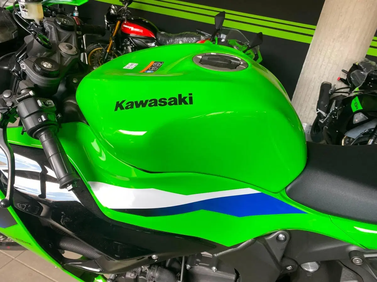 Kawasaki Ninja 636 ZX-6R (2024 - 26) (4)