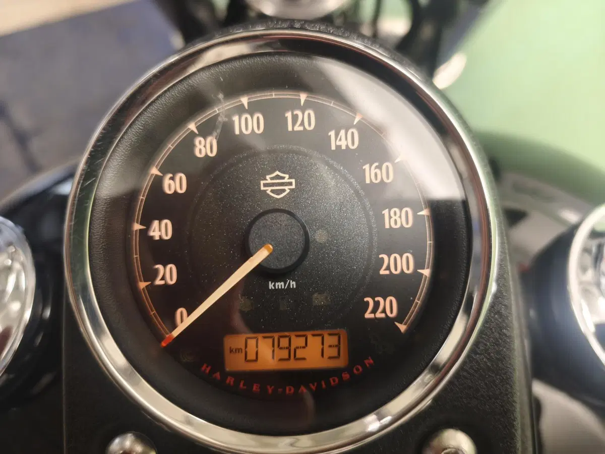 Harley-Davidson 1690 Low Rider (2014 - 17) - FXDL (6)