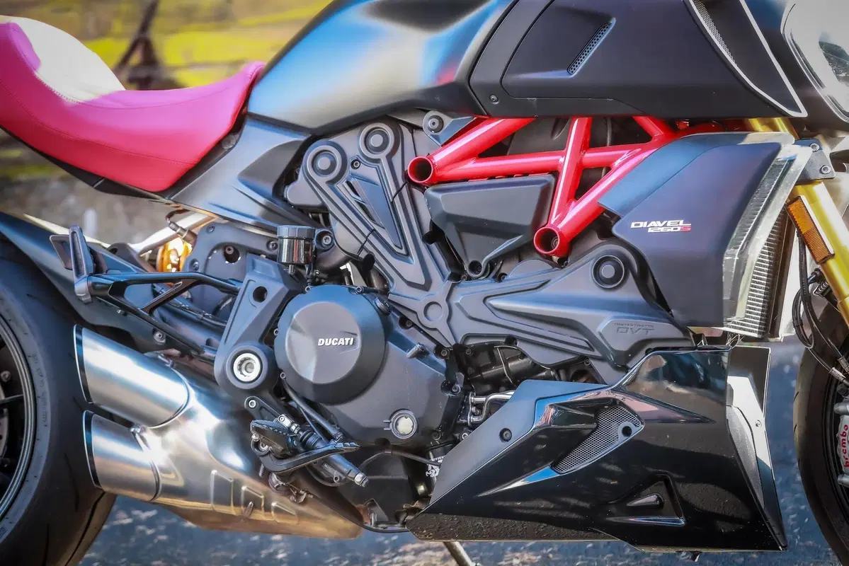 Ducati Diavel 1260 S (2019 - 20) (13)