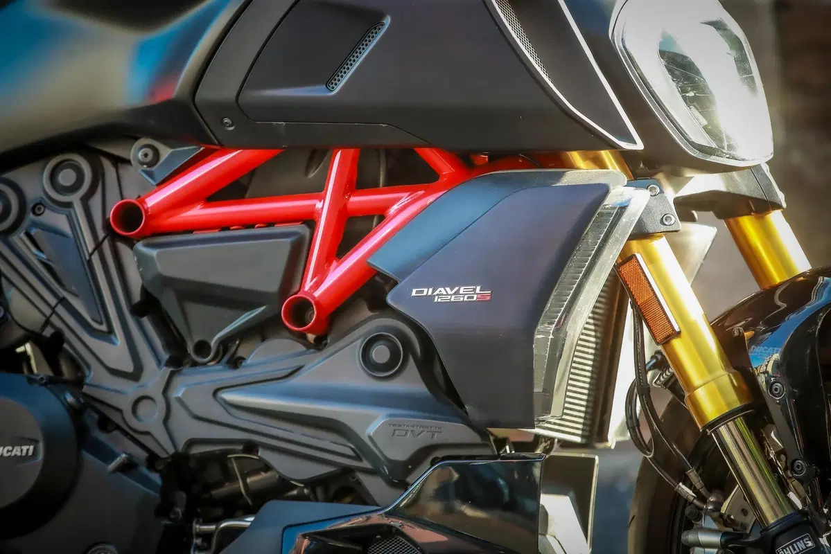 Ducati Diavel 1260 S (2019 - 20) (14)