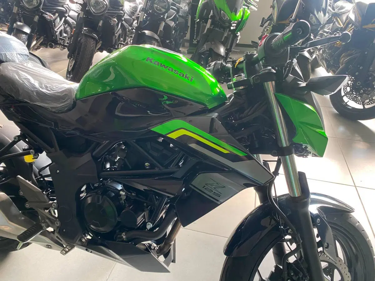 Kawasaki Z 125 (2025 - 26) (5)
