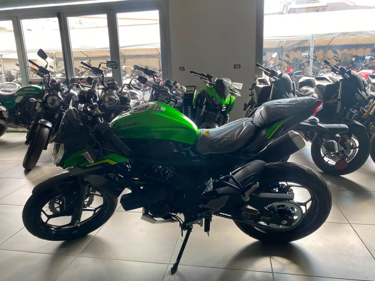 Kawasaki Z 125 (2025 - 26) (3)