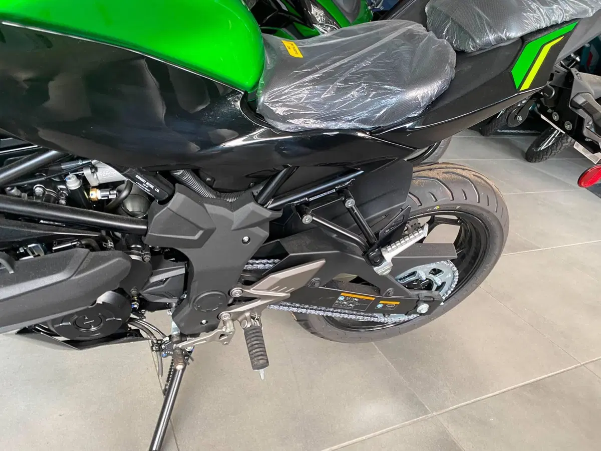Kawasaki Z 125 (2025 - 26) (6)