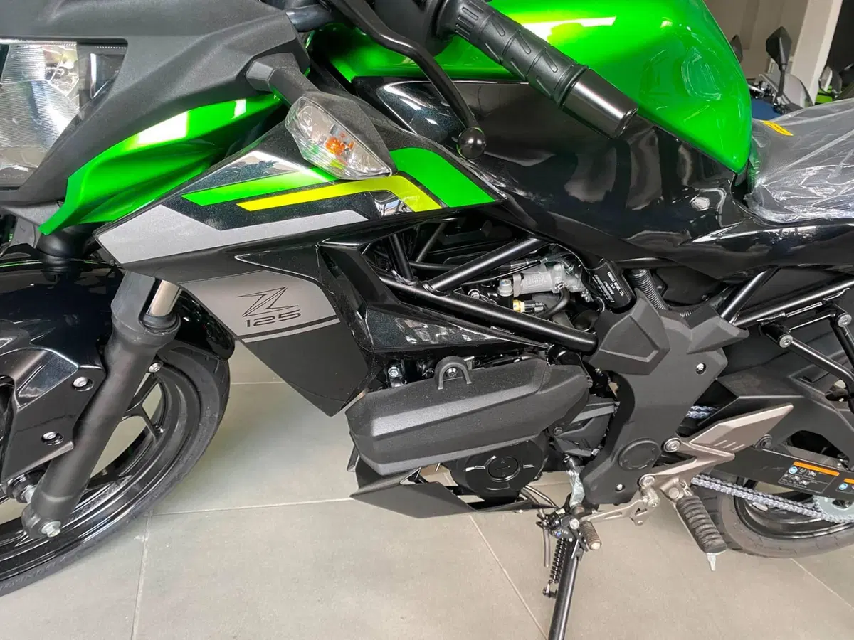 Kawasaki Z 125 (2025 - 26) (8)