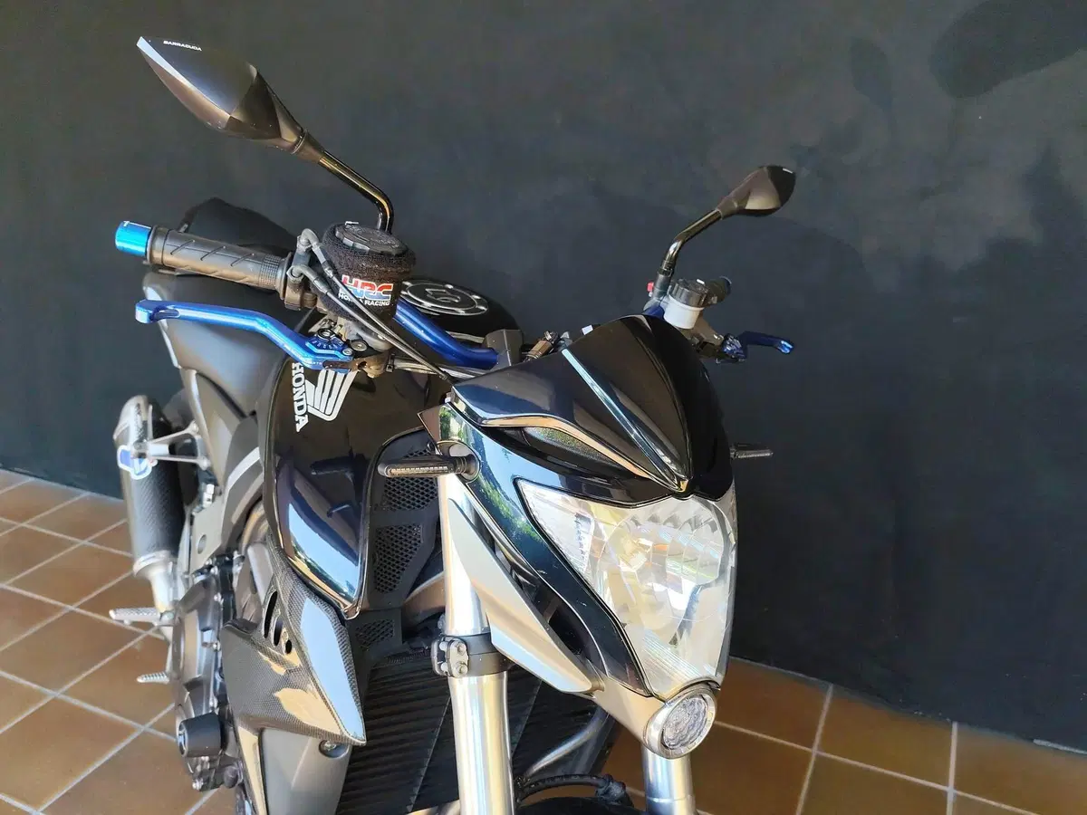 Honda CB 1000 R (2008 - 10) (10)