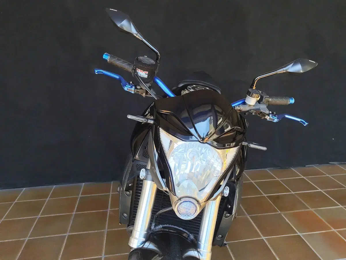 Honda CB 1000 R (2008 - 10) (11)