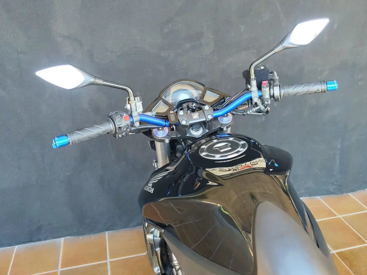 Honda CB 1000 R (2008 - 10) (14)