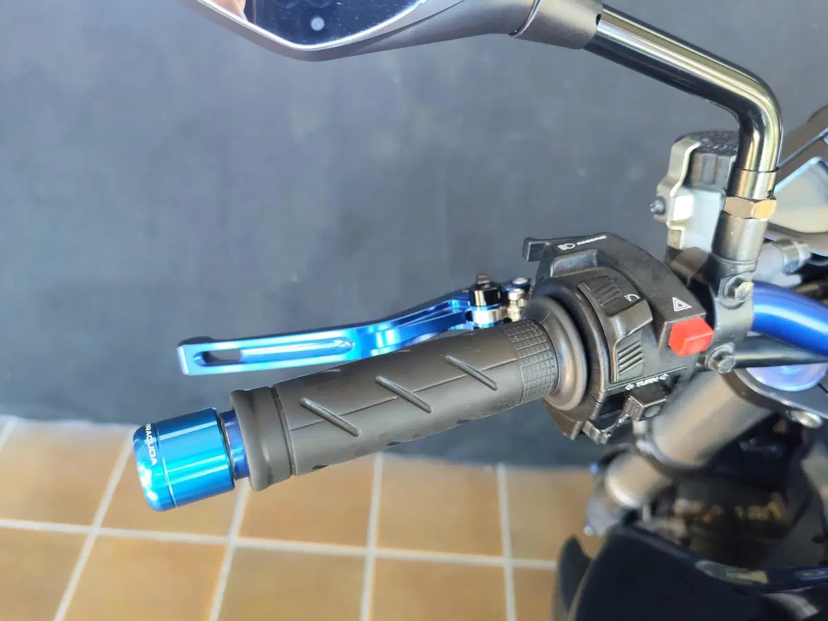 Honda CB 1000 R (2008 - 10) (16)