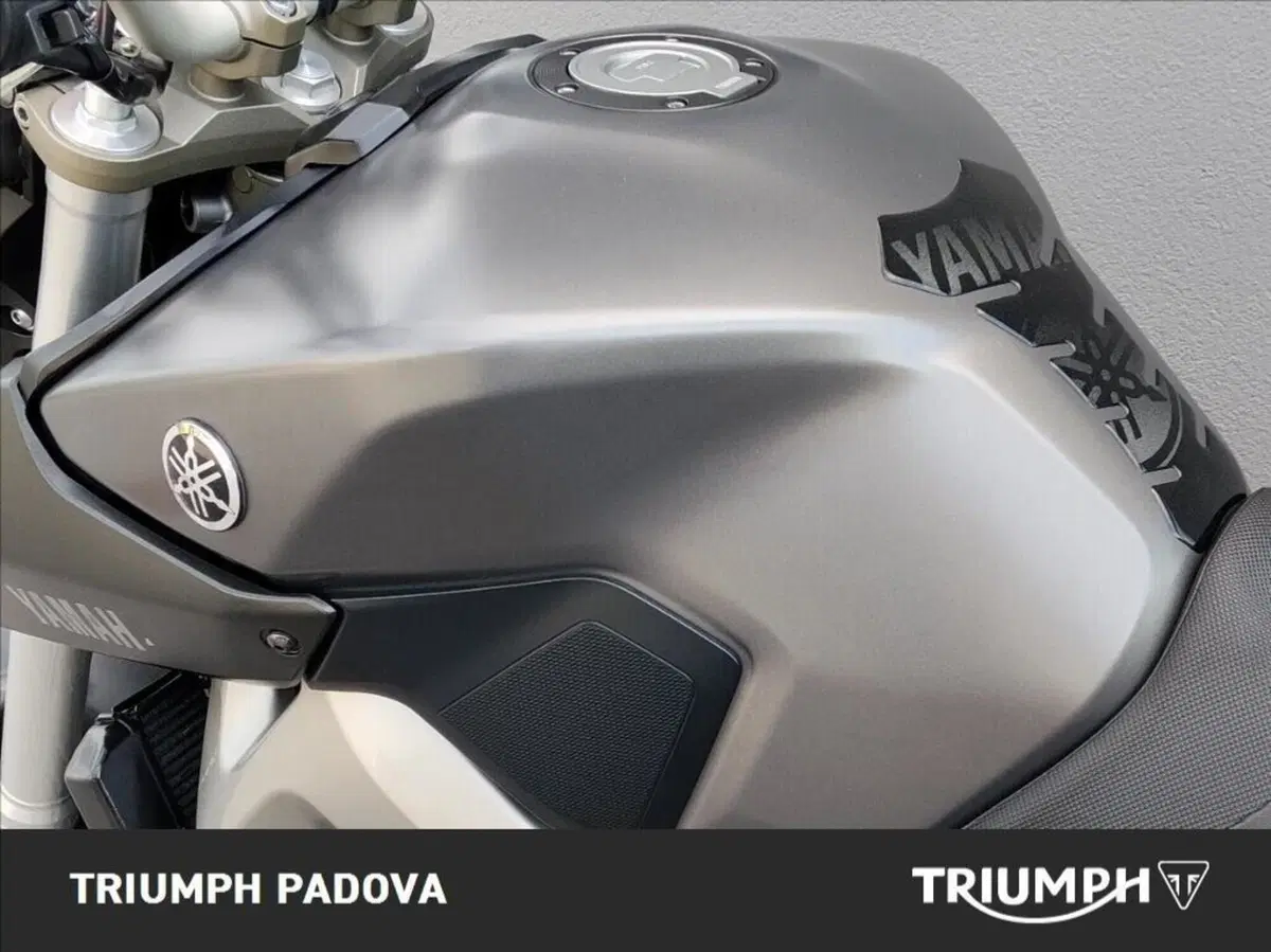 Yamaha MT-09 ABS (2013 - 15) (9)