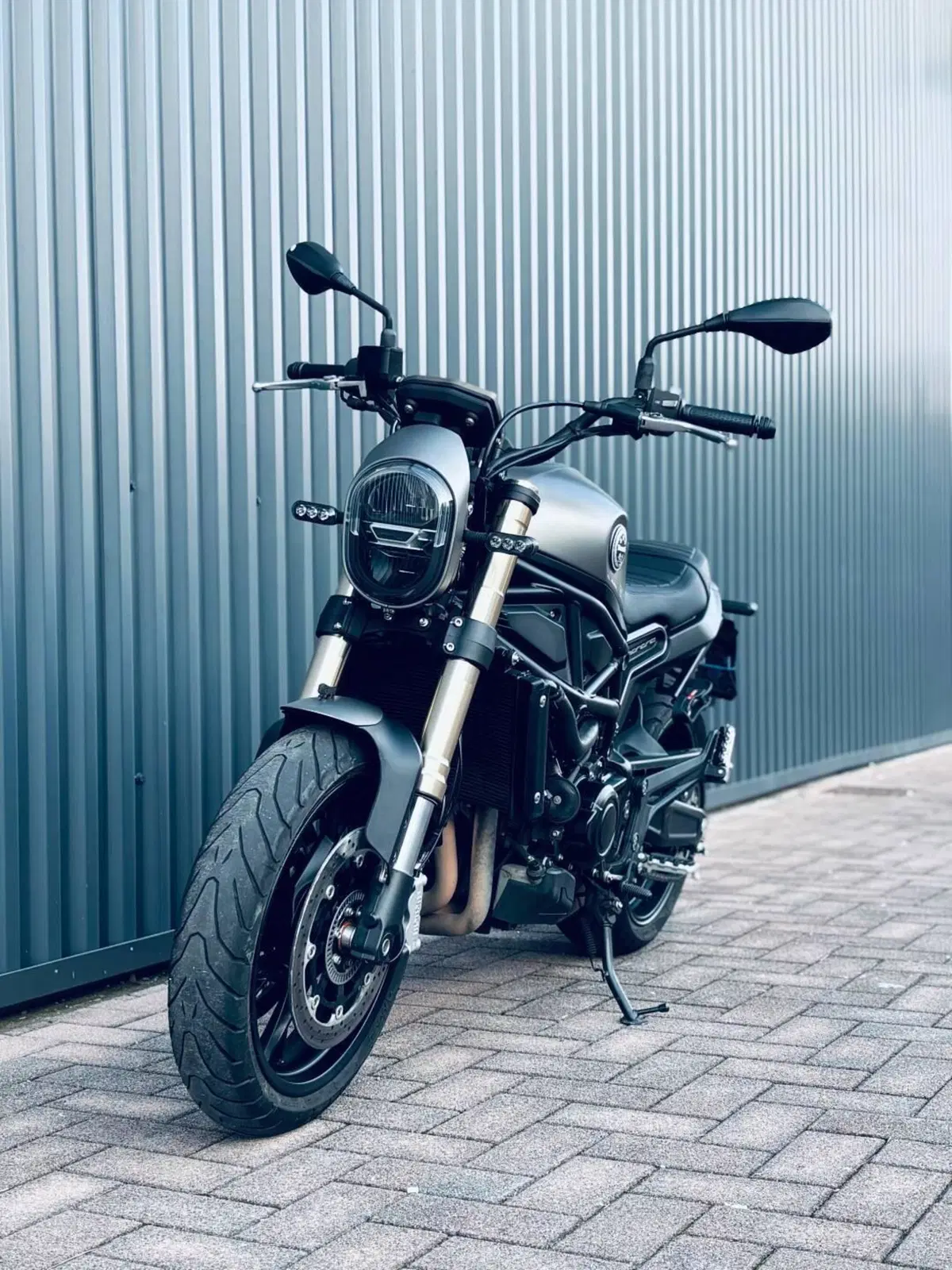 Benelli Leoncino 800 (2022 - 26) (3)