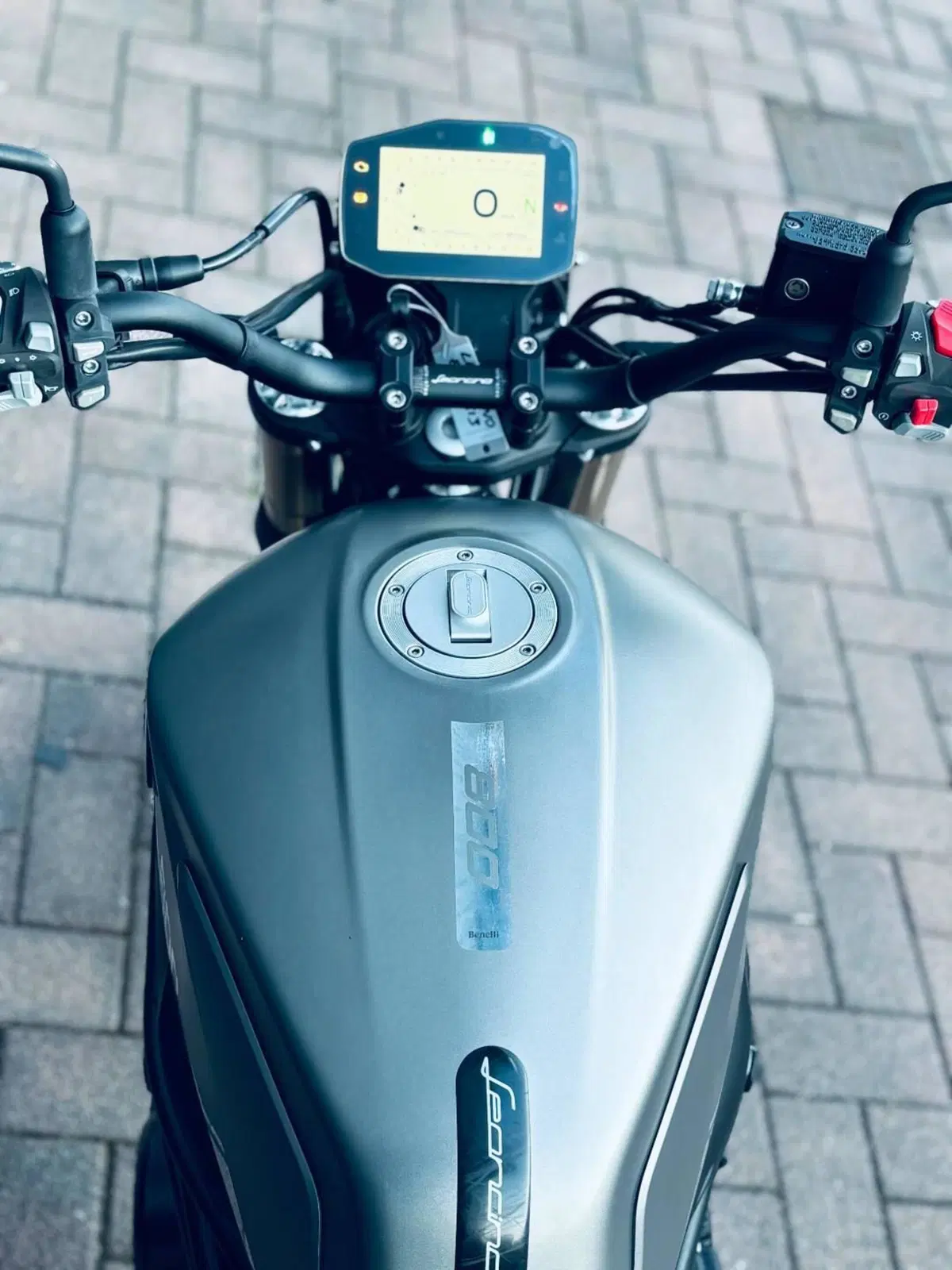 Benelli Leoncino 800 (2022 - 26) (7)