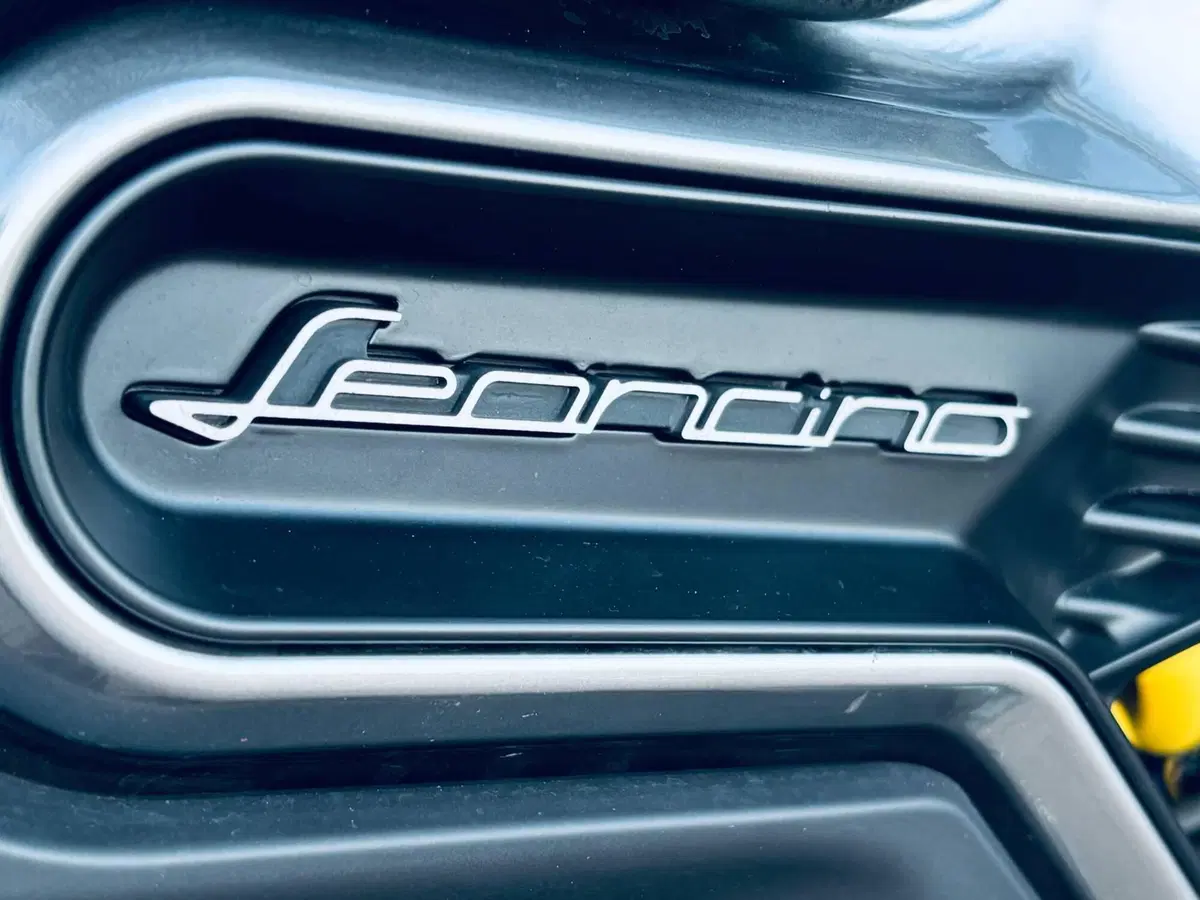 Benelli Leoncino 800 (2022 - 26) (11)