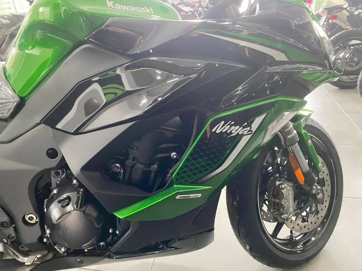 Kawasaki Ninja 1100 SX SE (2025 - 26) (6)