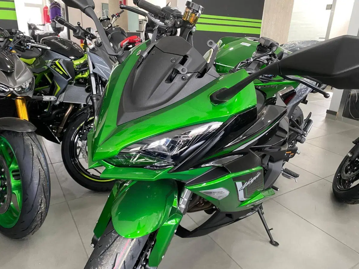 Kawasaki Ninja 1100 SX SE (2025 - 26) (7)