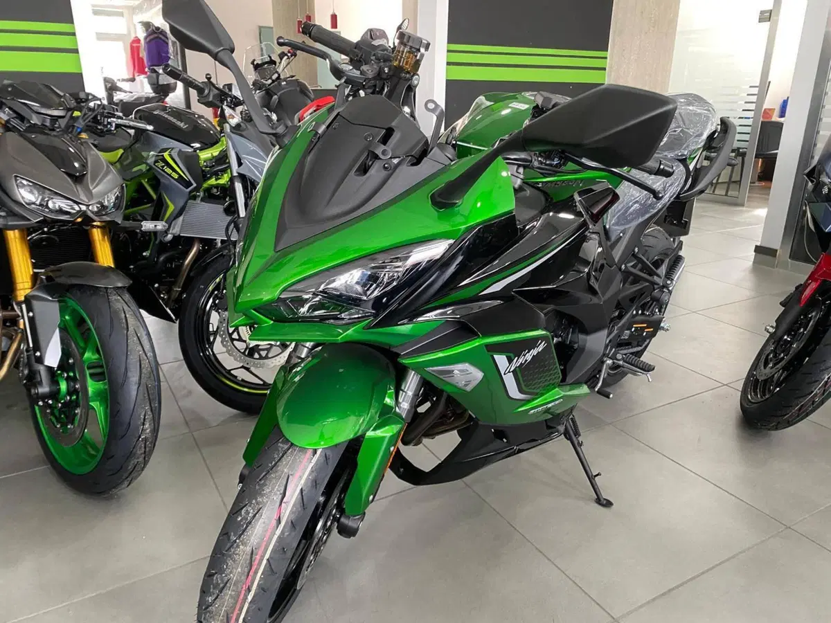 Kawasaki Ninja 1100 SX SE (2025 - 26) (3)