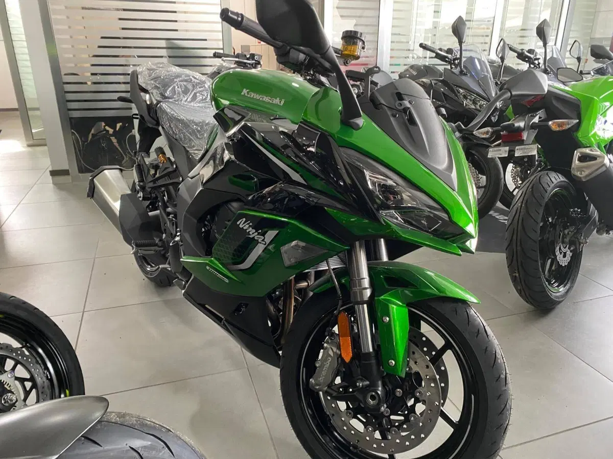 Kawasaki Ninja 1100 SX SE (2025 - 26) (4)