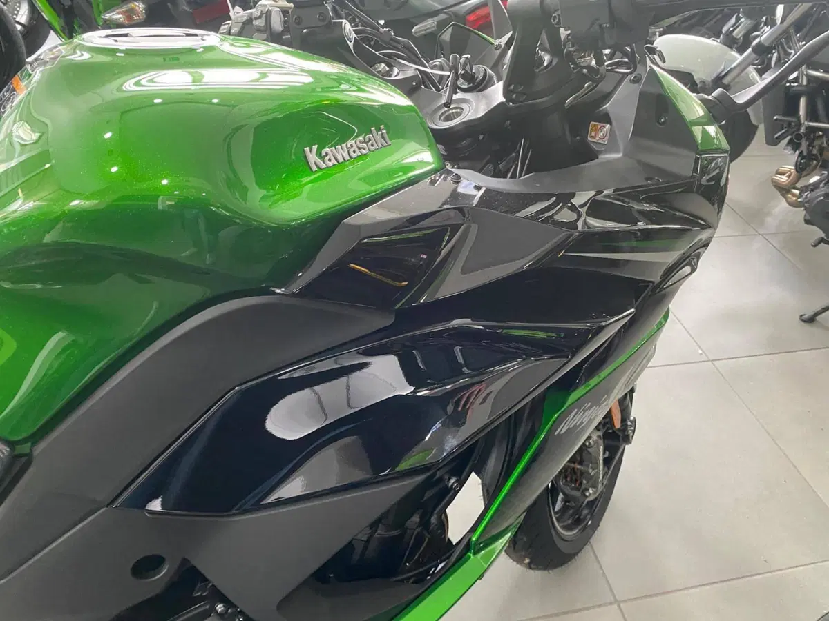Kawasaki Ninja 1100 SX SE (2025 - 26) (11)