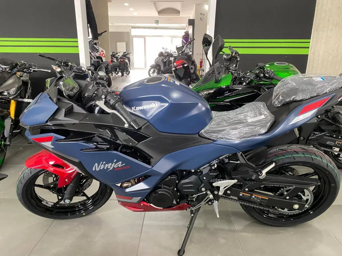 Kawasaki Ninja 500 SE (2024 - 26) (3)