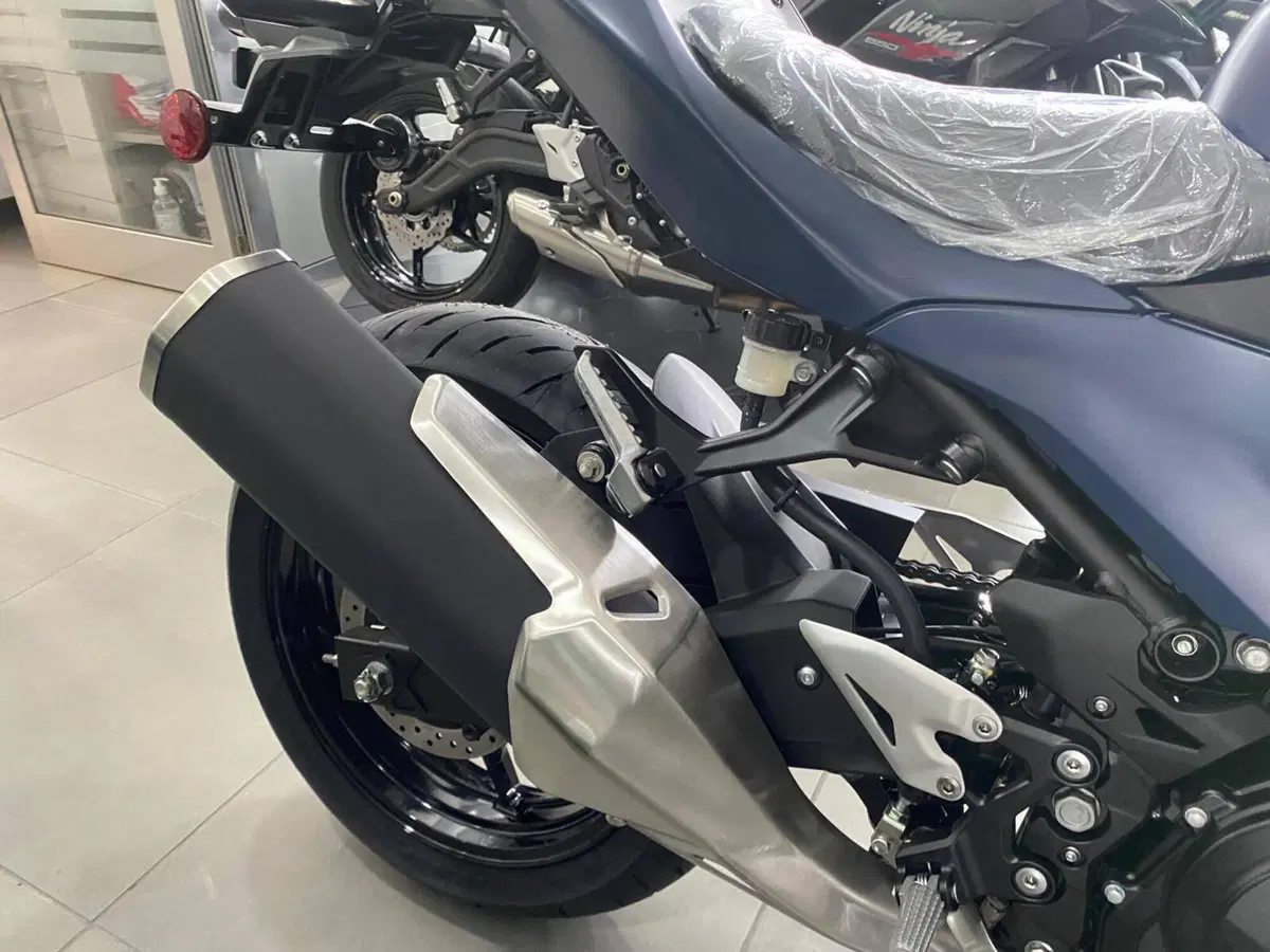 Kawasaki Ninja 500 SE (2024 - 26) (5)