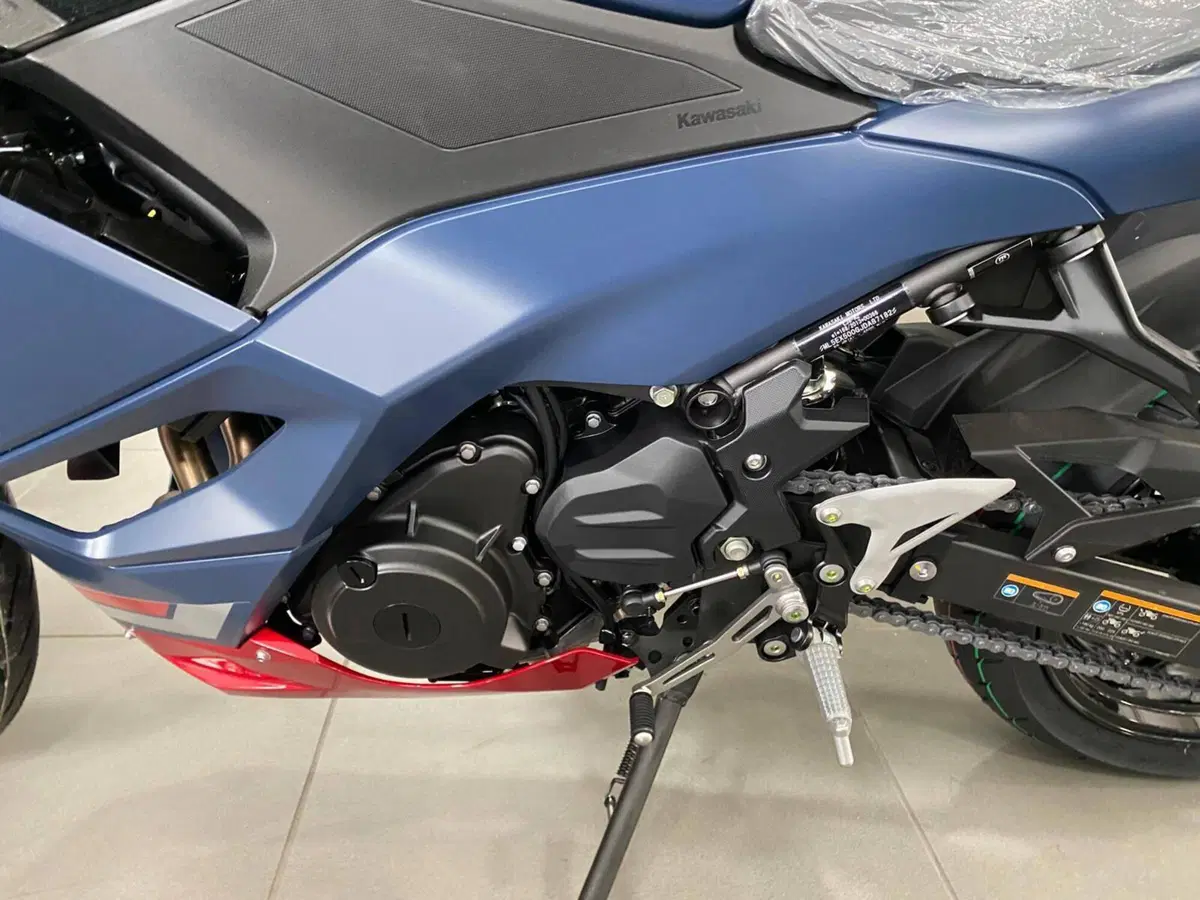 Kawasaki Ninja 500 SE (2024 - 26) (6)