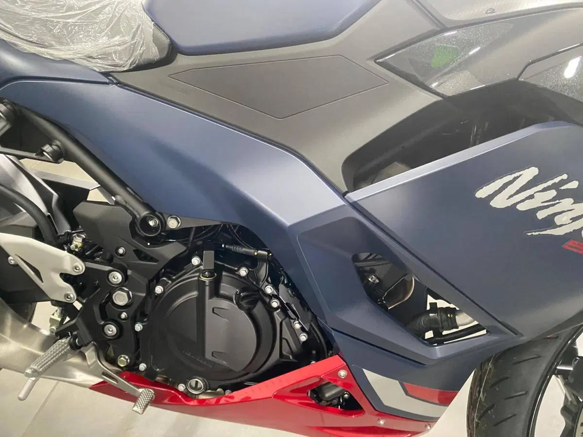 Kawasaki Ninja 500 SE (2024 - 26) (8)