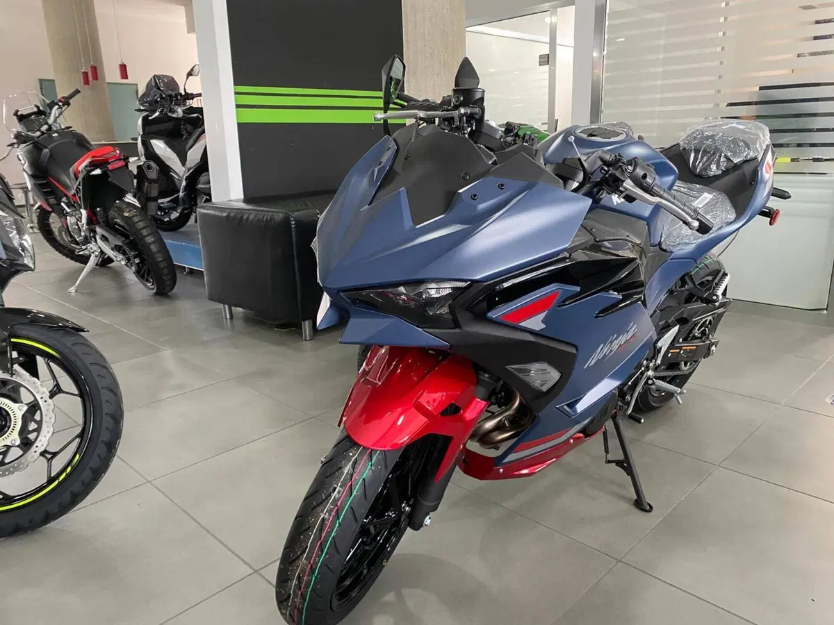 Kawasaki Ninja 500 SE (2024 - 26) (2)