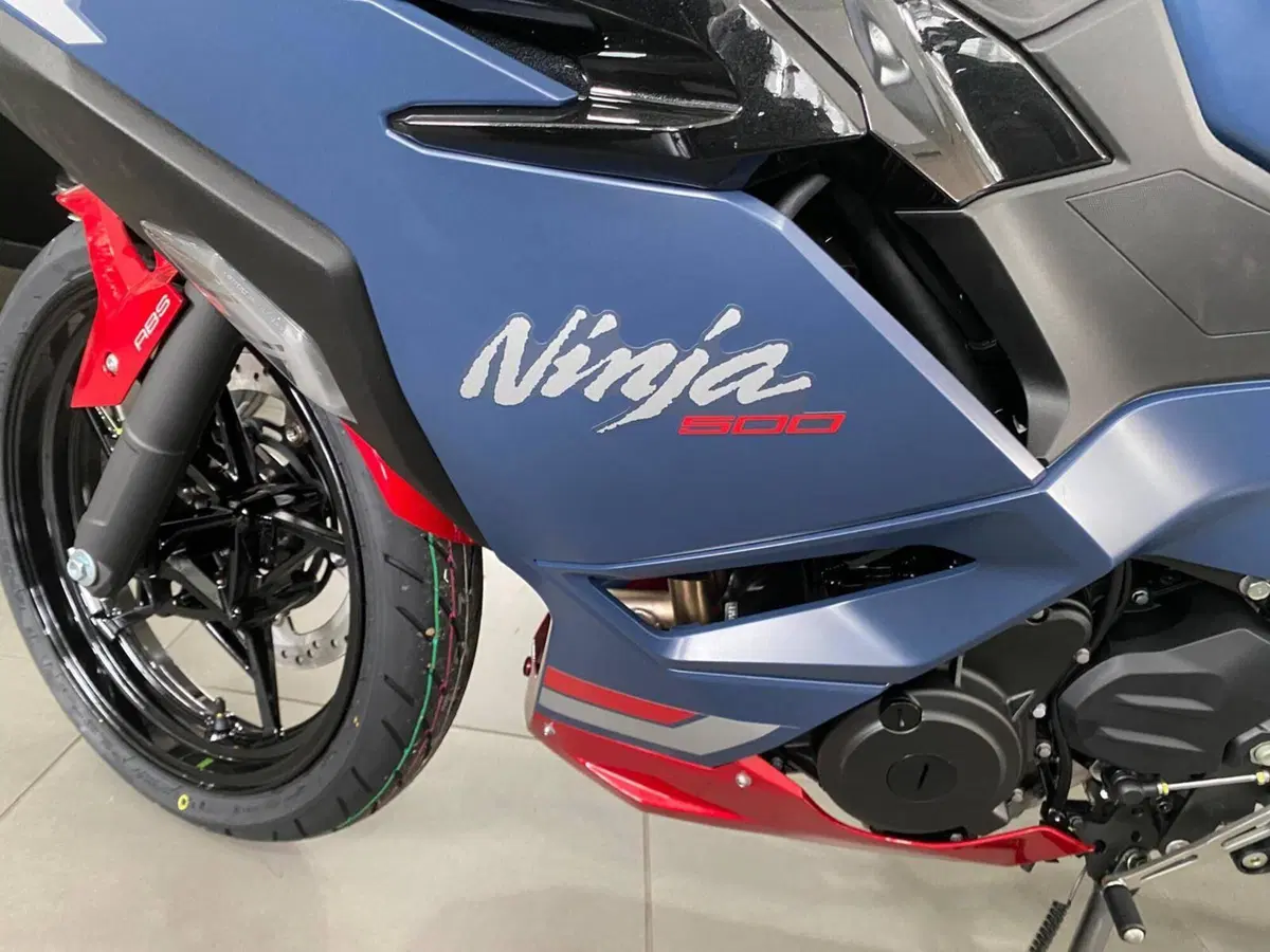 Kawasaki Ninja 500 SE (2024 - 26) (9)