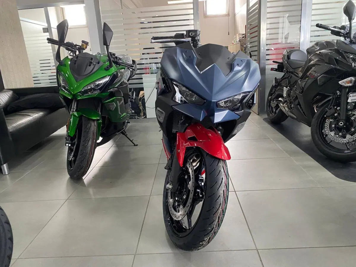 Kawasaki Ninja 500 SE (2024 - 26) (4)