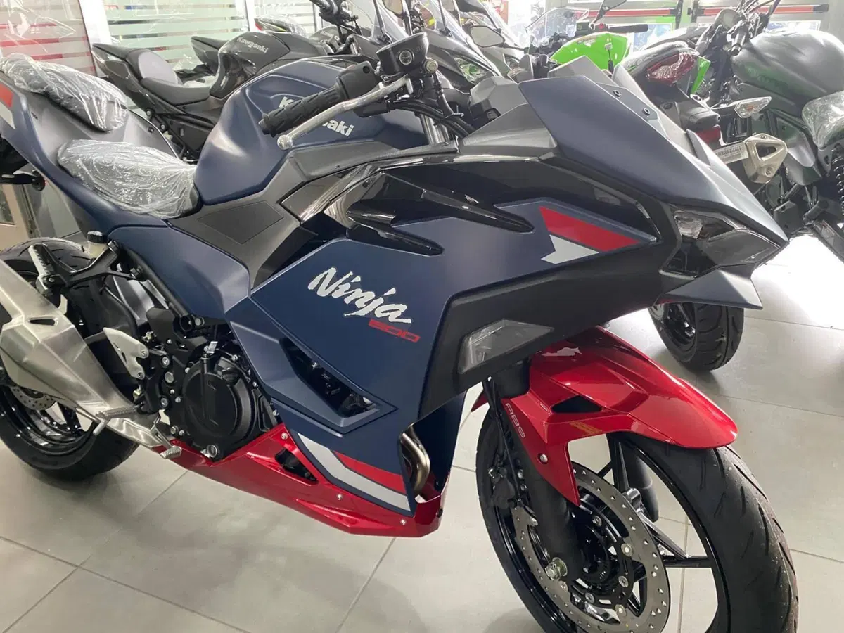 Kawasaki Ninja 500 SE (2024 - 26) (10)