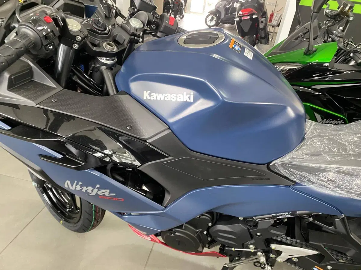Kawasaki Ninja 500 SE (2024 - 26) (11)