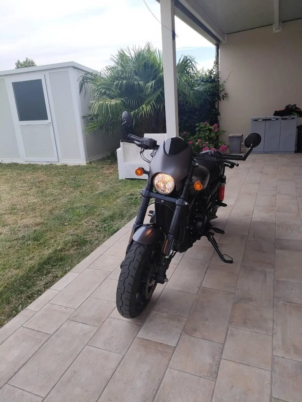 Harley-Davidson 750 Street Rod (2017 - 20) - XG 750