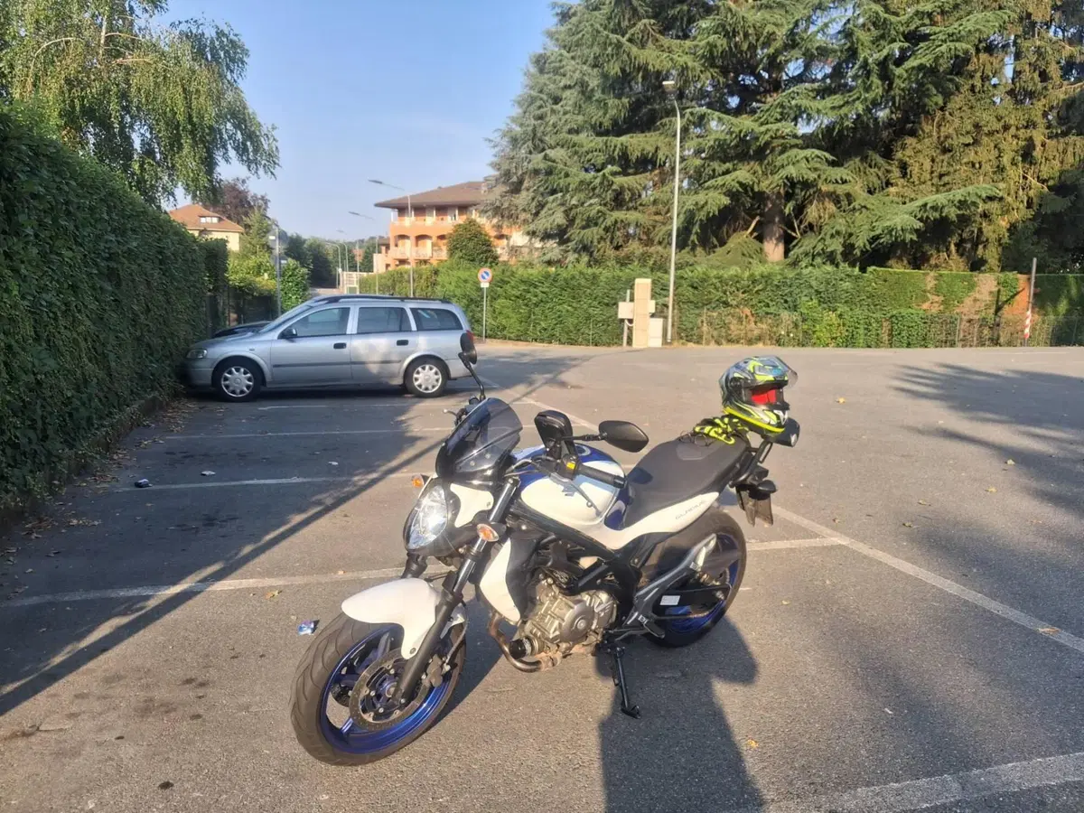 Suzuki Gladius 650 SFV (2009 - 15) (6)