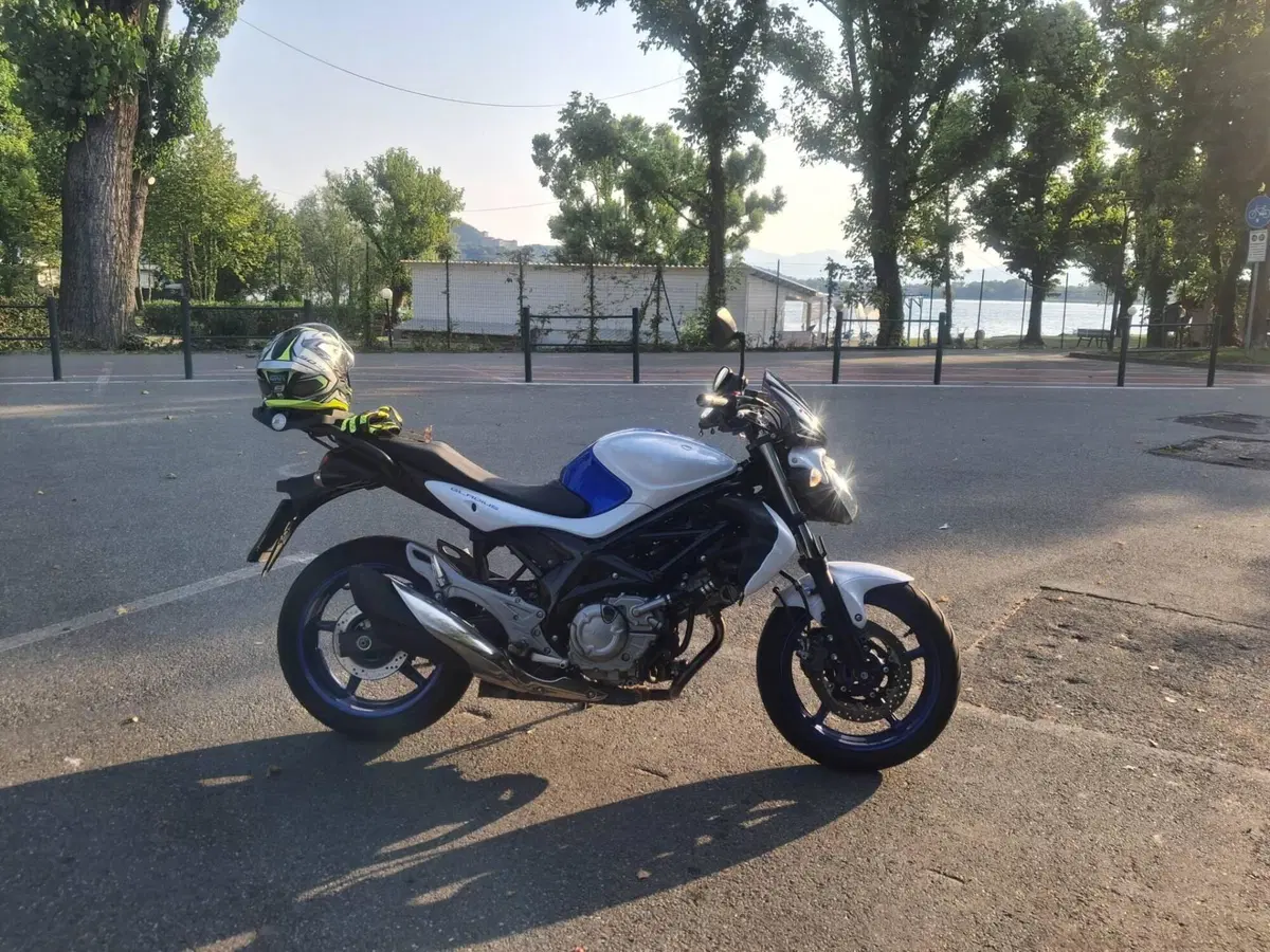 Suzuki Gladius 650 SFV (2009 - 15) (7)