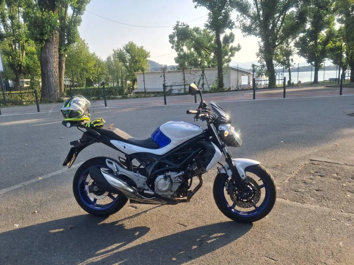 Suzuki Gladius 650 SFV (2009 - 15) (8)